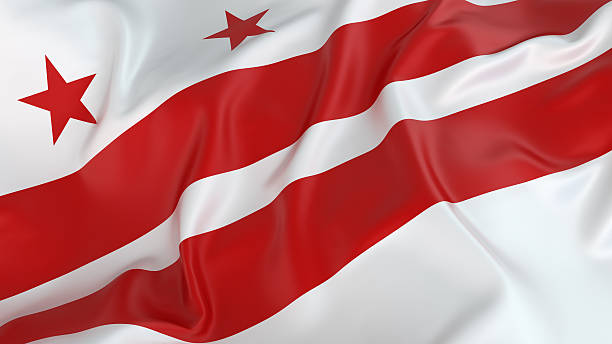 Washington DC Flag