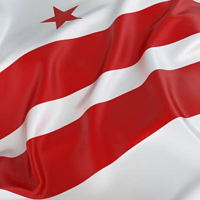 Washington DC Flag